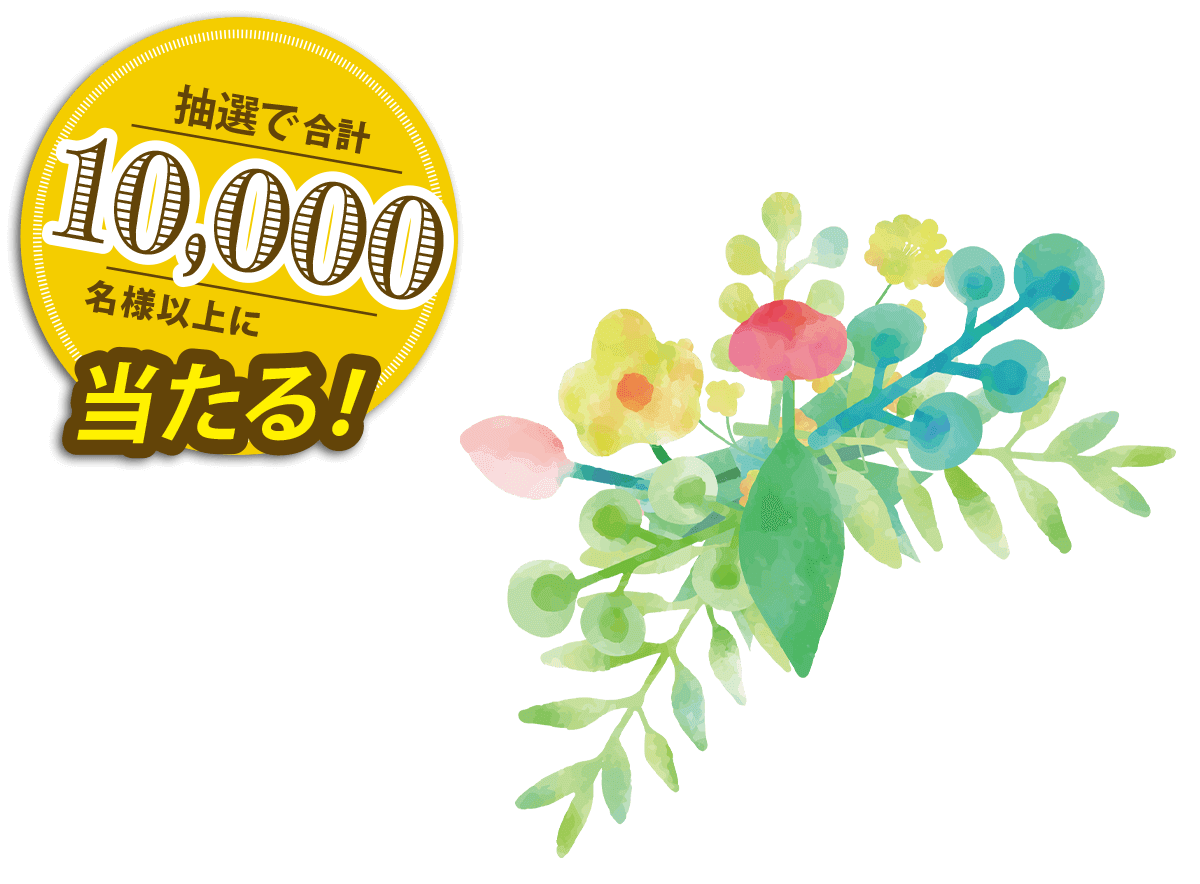 合計抽選10,000様以上