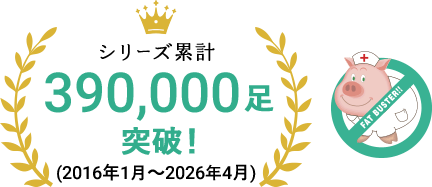 シリーズ累計383,000足突破！2026年2月現在