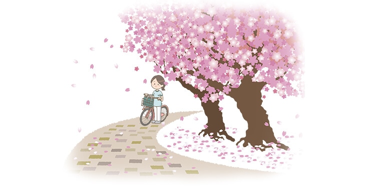 春や秋は自転車が最高