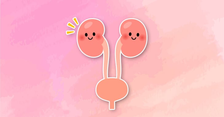 泌尿器科病棟って、実は「急性期」のやりがいが詰まった場所なの？