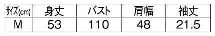 ＜DISCUS＞コラボヴィンテージクロップドTのサイズ表