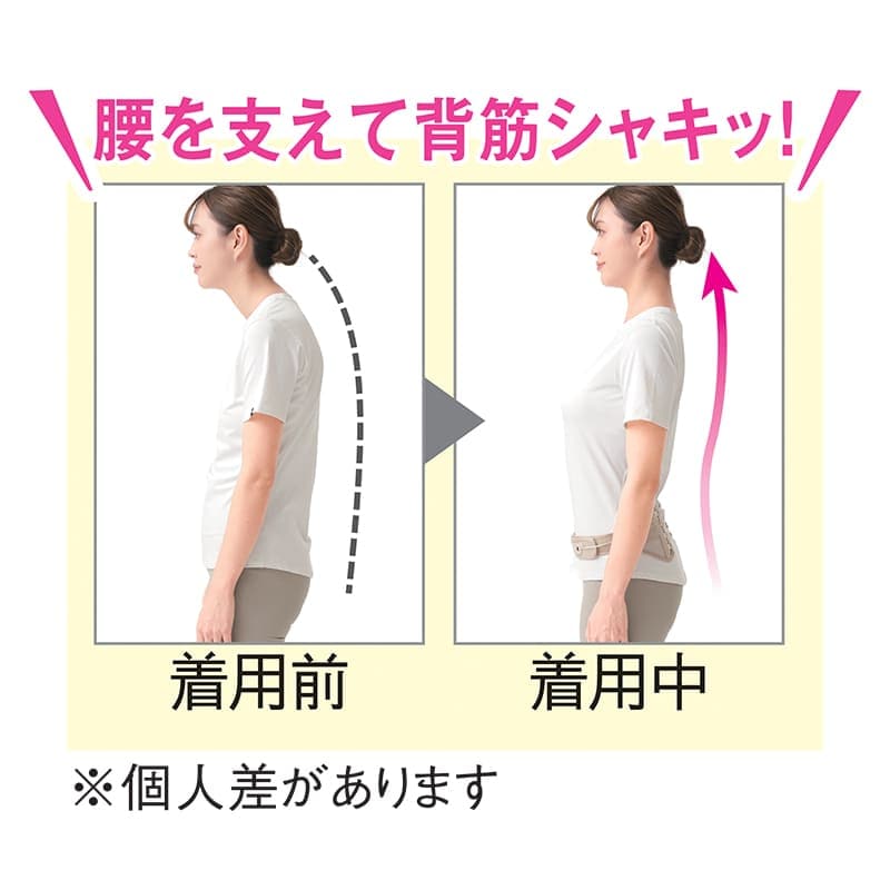 Dr.PRO シャキット腰ベルト