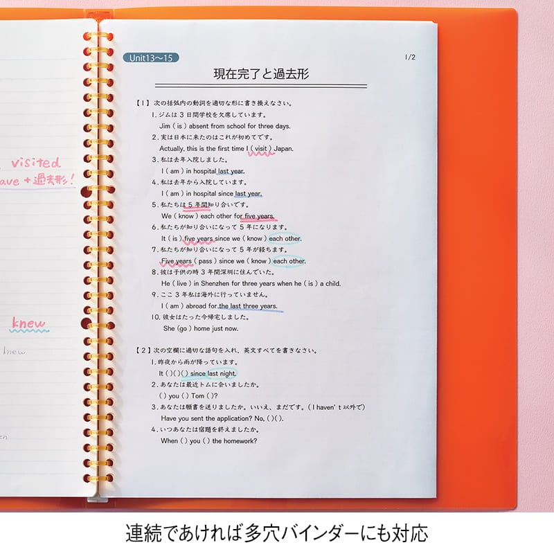 テフレーヌ 4穴ミニパンチ