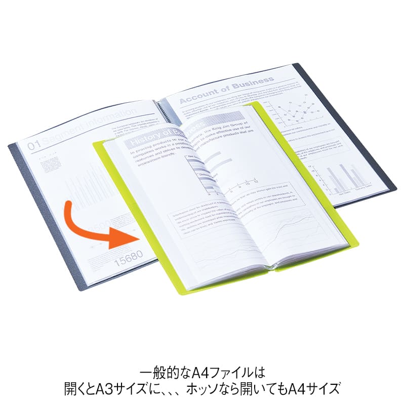 クリアファイル ホッソ