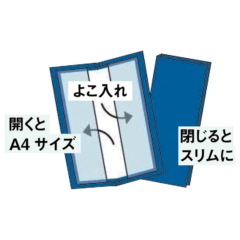 クリアファイル ホッソ