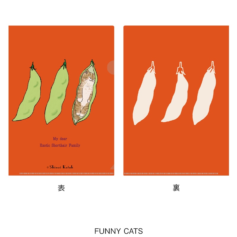 MY DEAR CATS A5クリアファイル