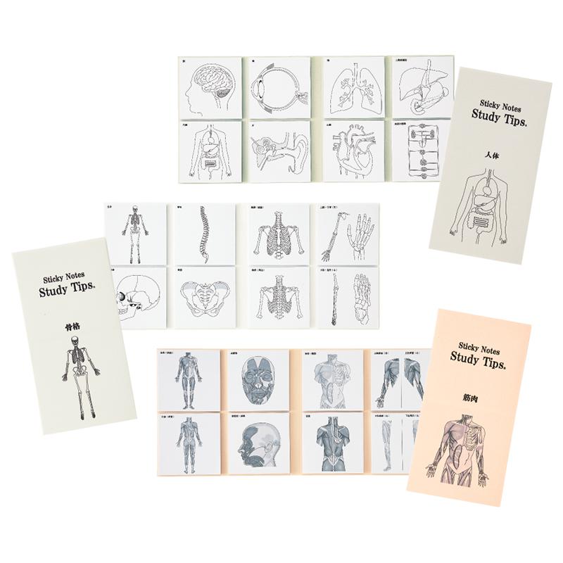 紙季彩々 Sticky Notes Study Tips