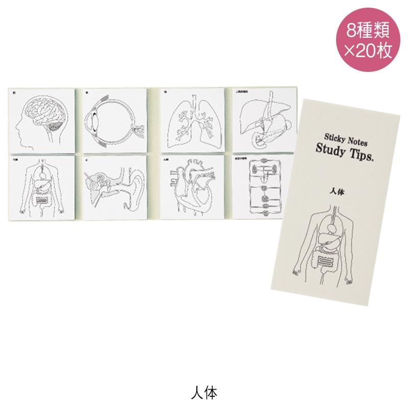 紙季彩々 Sticky Notes Study Tips