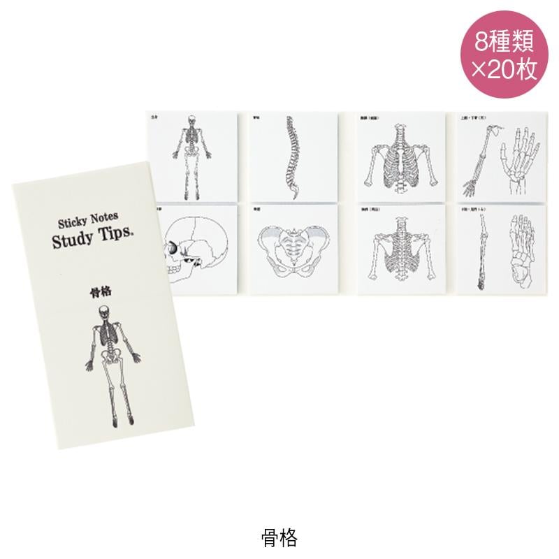 紙季彩々 Sticky Notes Study Tips