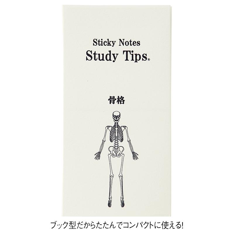 紙季彩々 Sticky Notes Study Tips