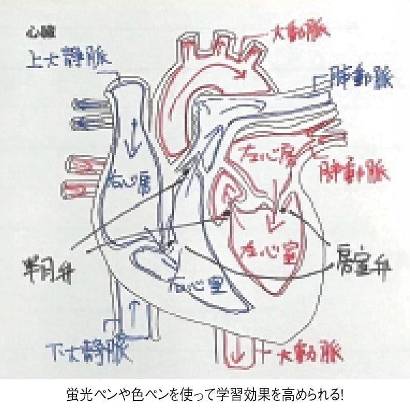 紙季彩々 Sticky Notes Study Tips