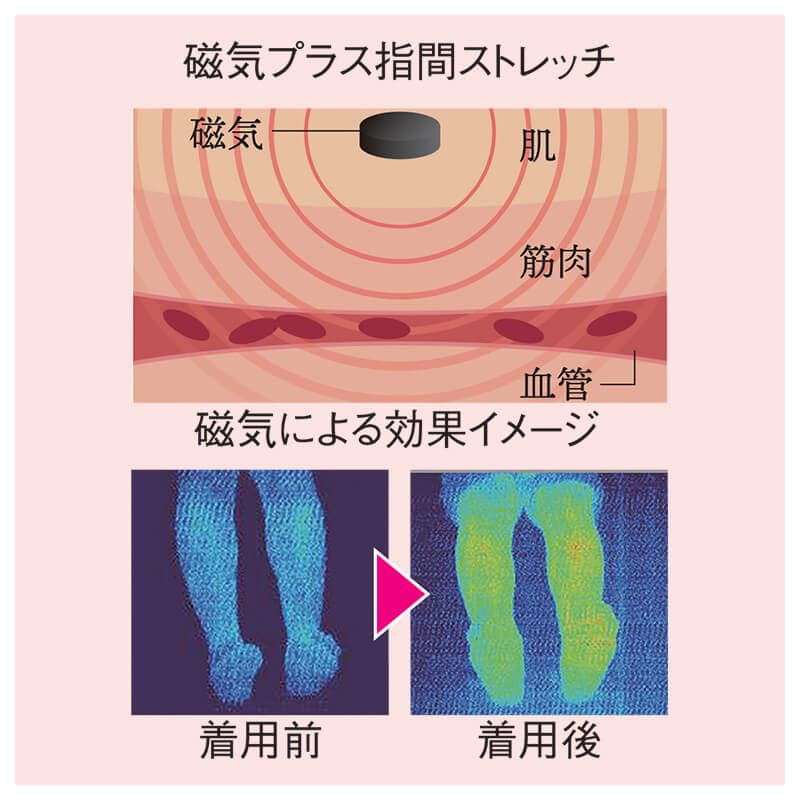 Bloom me 磁気付き足指サポーター
