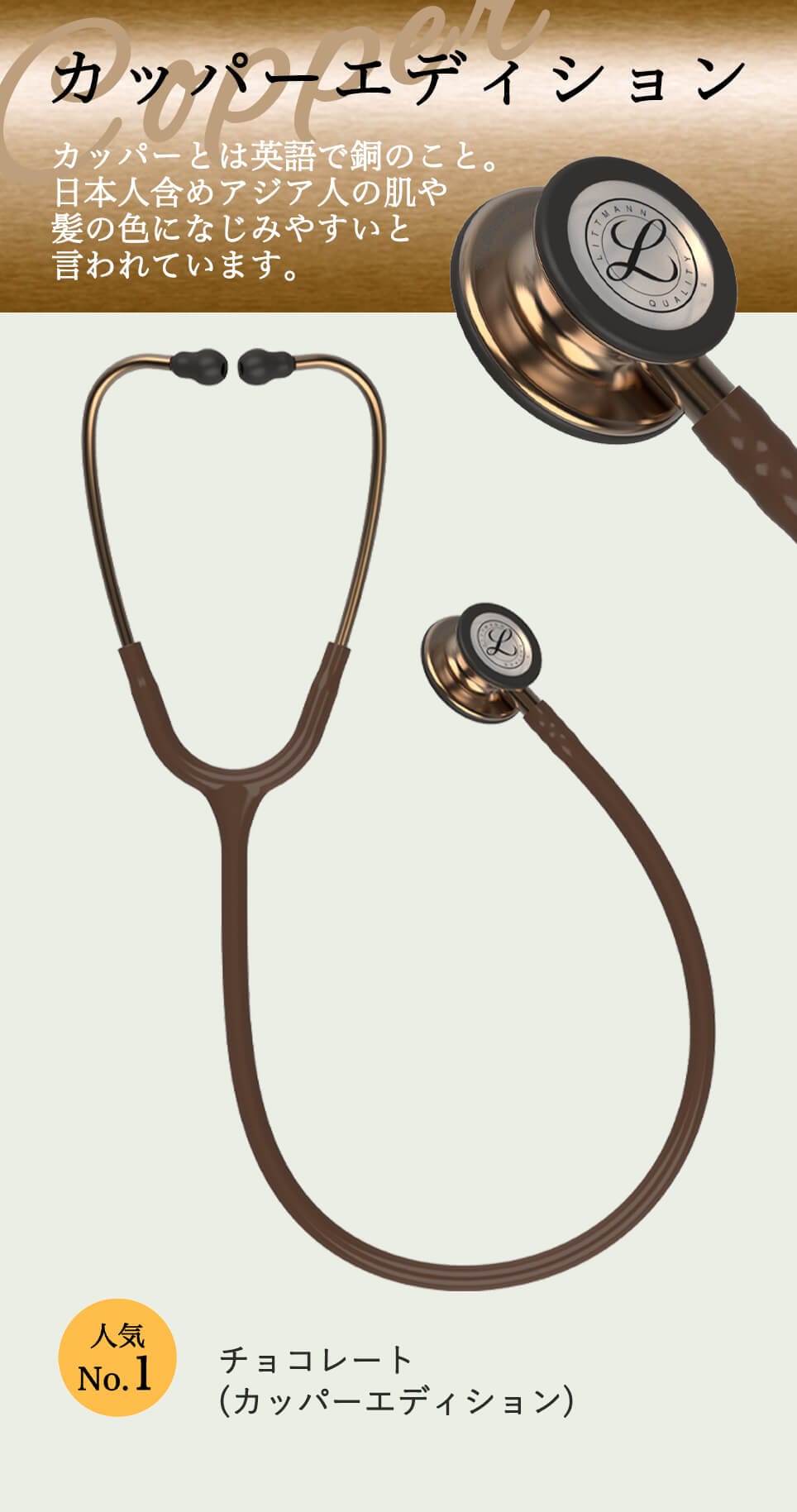 至高 リットマン 聴診器 クラシック3 <br>チョコレート コパーエディション 5809 <br> 3M Littmann Classic III  ステート