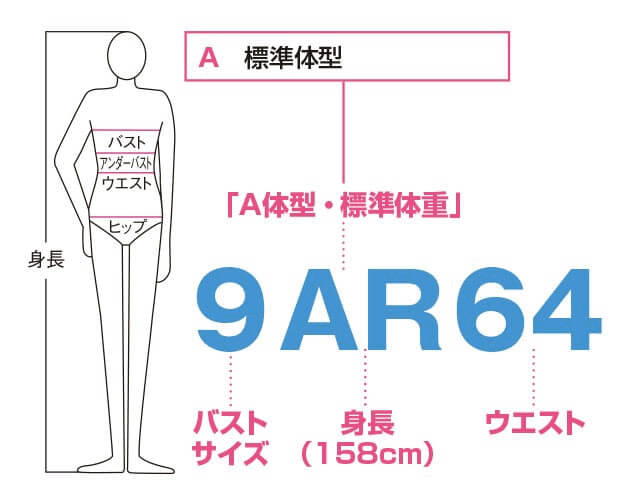 サイズガイド 看護師 ナースグッズの通販ならアンファミエ