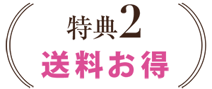 特典2 送料お得